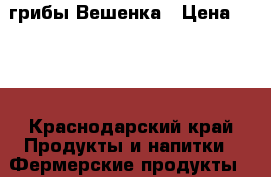  грибы Вешенка › Цена ­ 130 - Краснодарский край Продукты и напитки » Фермерские продукты   